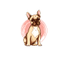 Cadeaux bouledogue français