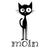 Moin Katze