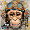 PetitSinge