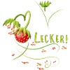 Erdbeerzeit, lecker, Erdbeere