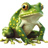 Green Frog - Natural Design