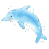 Delfin Blue