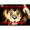 Löwe effektiv