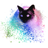 siam katze,bunt,graffit,imalerei kunst,katze,grün