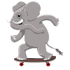 Elephant on skateboard