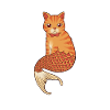 The Cats Mermaid