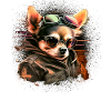 Chihuahua | Biker | Motorcykel | Hund | Far | Bedstefar