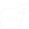 Just a Frenchie