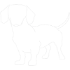 Just a Sausage Dog