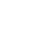 Original 100% Jenny