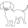 Just a Sausage dog