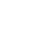 King Skeleton