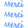 MERCI. MAÎTRESSE. MAÎTRE. MERCI MAÎTRESSE