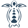 Tribal turtle tattoo