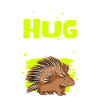 Porcupine Porcupines Gift
