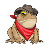 Frog Cowboy Cowboy Hat
