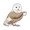 Owl cup of coffee