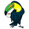 Toucan cup of coffee