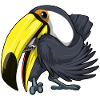 Toucan Musician Harmonica Music