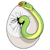 Snake Baby Pacifier