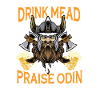 Beer Vikings