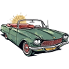 French convertible car