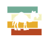 Camel Retro