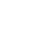 Raschauer musste sei
