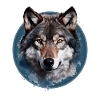 Wolf head