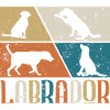 Labrador