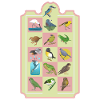 NZ BIRDS