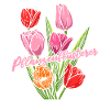 Tulpen