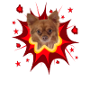 Comic Dog Design - Pow - Chihuahua