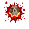 Comic Hund Design - Pow - Beagle