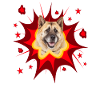 Comic Dog Design - Pow - Akita