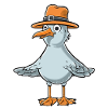 Funny seagull