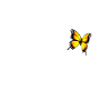 Lama avec papillon