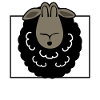 Black sheep