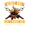 Feu scout
