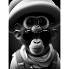 Cool Monkey