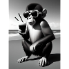 Cool beach monkey
