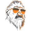 Monkey Sunglasses