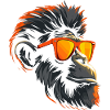 Monkey Sunglasses Cool