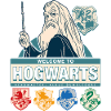 Harry Potter Welcome To Hogwarts Dumbledore
