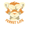 Ferret polecat