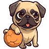 Pug