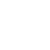 Cocker Spaniel « Black Edition »