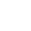 Dansk Svensk Gaardhond « Édition Noire »