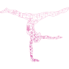 Gymnastique