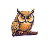 Nachteule Eule Eulen Vogel